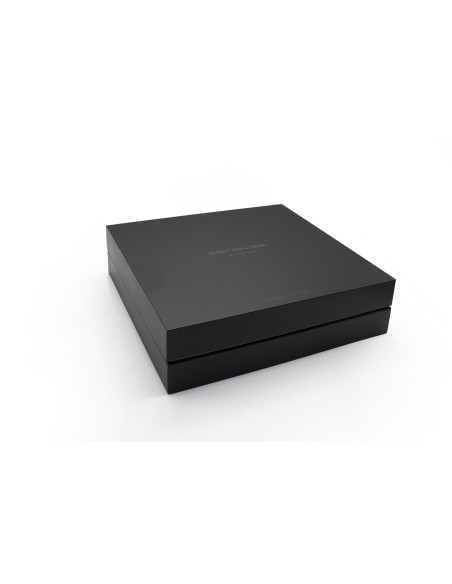 CORIOLISS BLDC WHISPER HAARTROCKNER