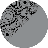 C3 SILVER ZEBRA-01.png